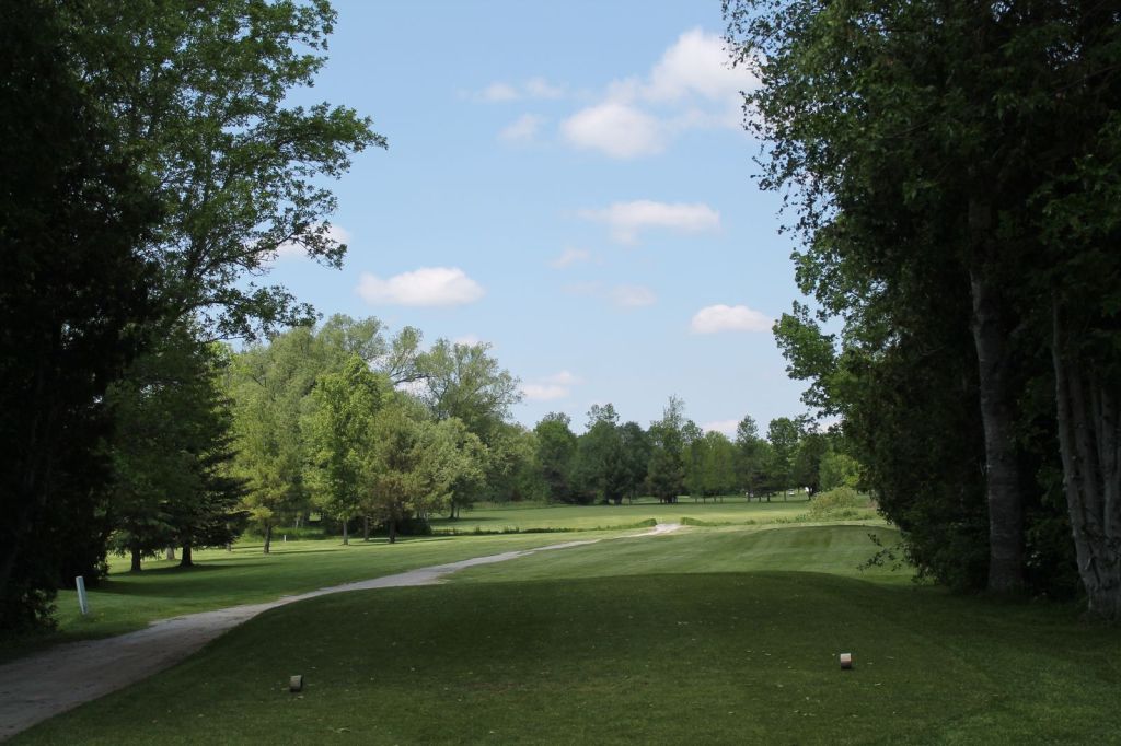 Shadow on cart path