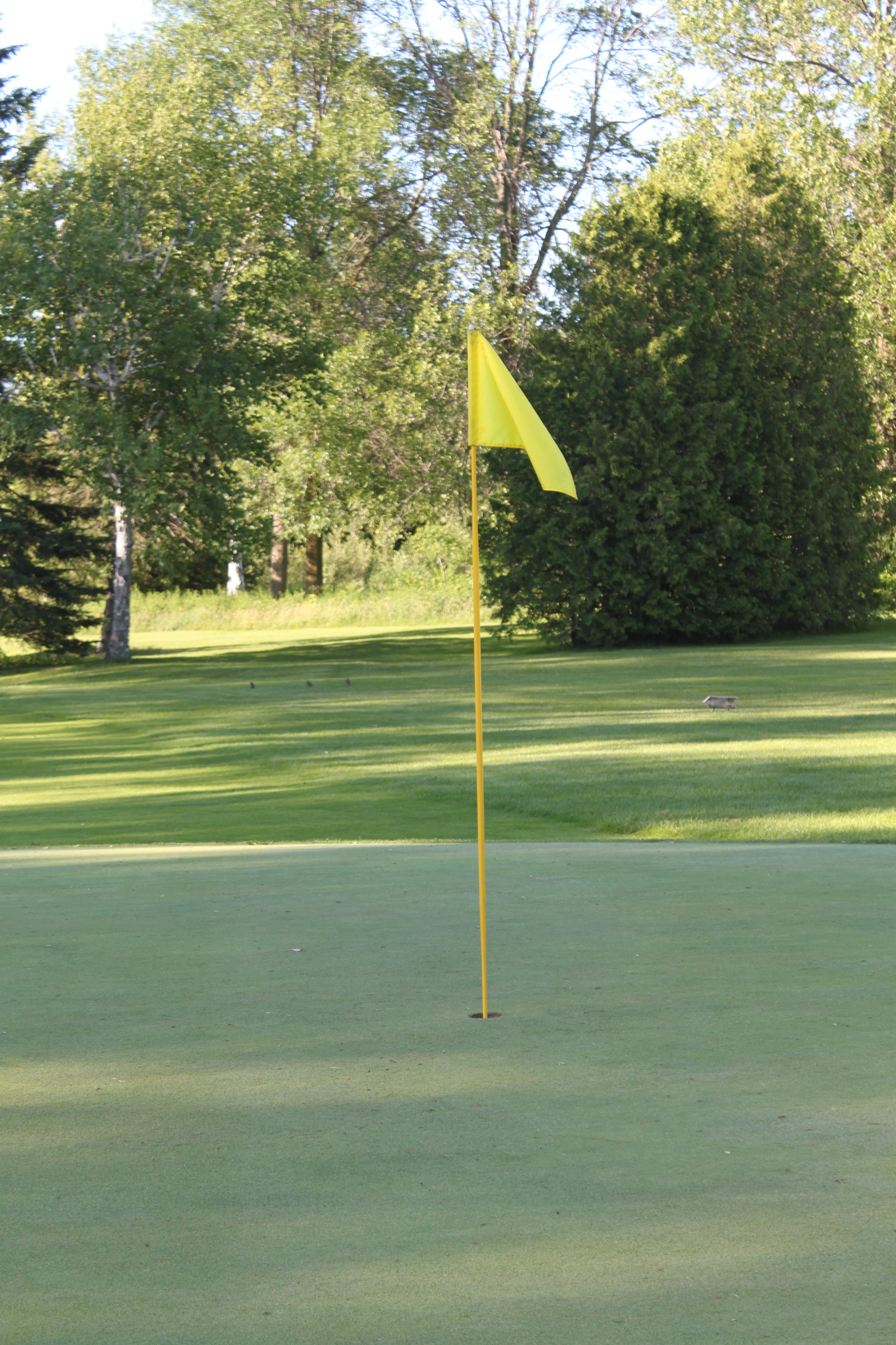 Flag on golf course